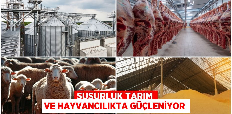 SUSURLUK TARIM VE HAYVANCILIKTA GÜÇLENİYOR