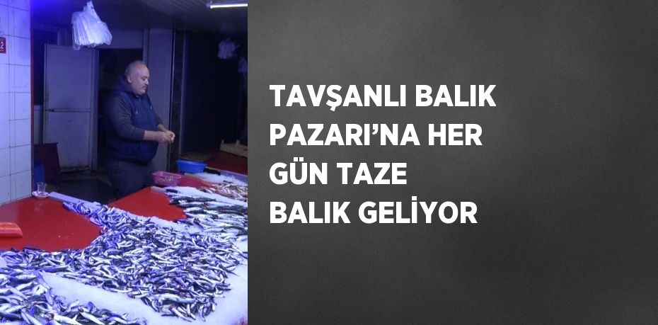 TAVŞANLI BALIK PAZARI’NA HER GÜN TAZE BALIK GELİYOR