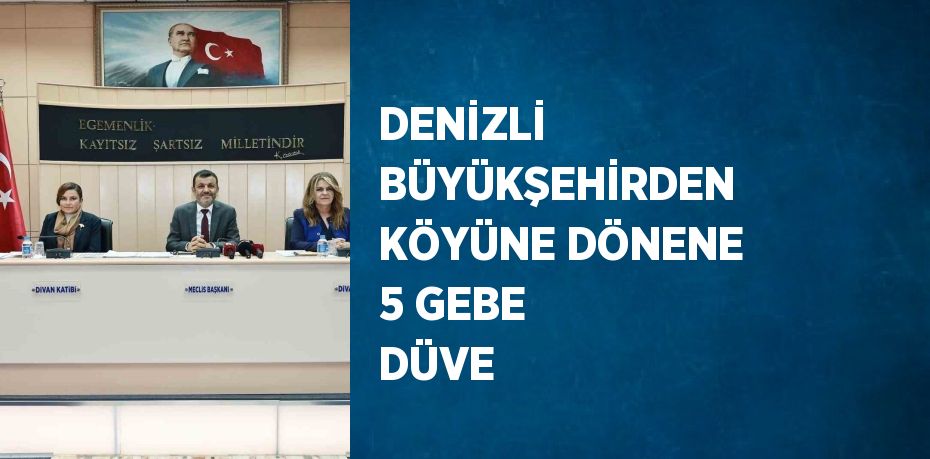 DENİZLİ BÜYÜKŞEHİRDEN KÖYÜNE DÖNENE 5 GEBE DÜVE