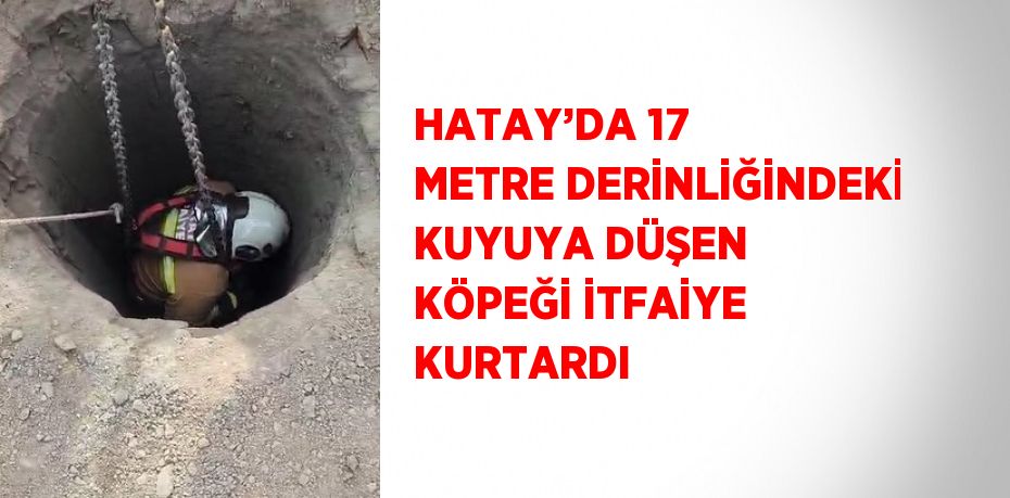 HATAY’DA 17 METRE DERİNLİĞİNDEKİ KUYUYA DÜŞEN KÖPEĞİ İTFAİYE KURTARDI