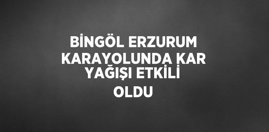 BİNGÖL ERZURUM KARAYOLUNDA KAR YAĞIŞI ETKİLİ OLDU