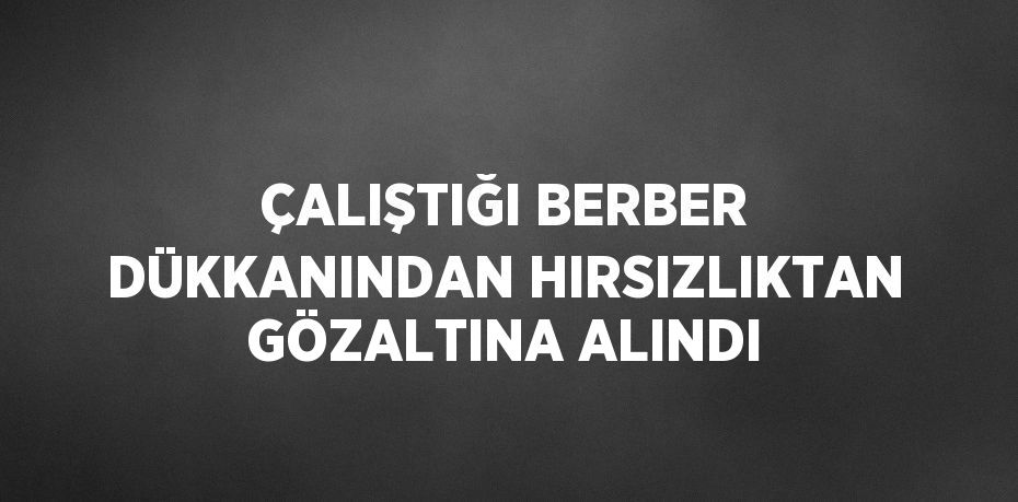 ÇALIŞTIĞI BERBER DÜKKANINDAN HIRSIZLIKTAN GÖZALTINA ALINDI