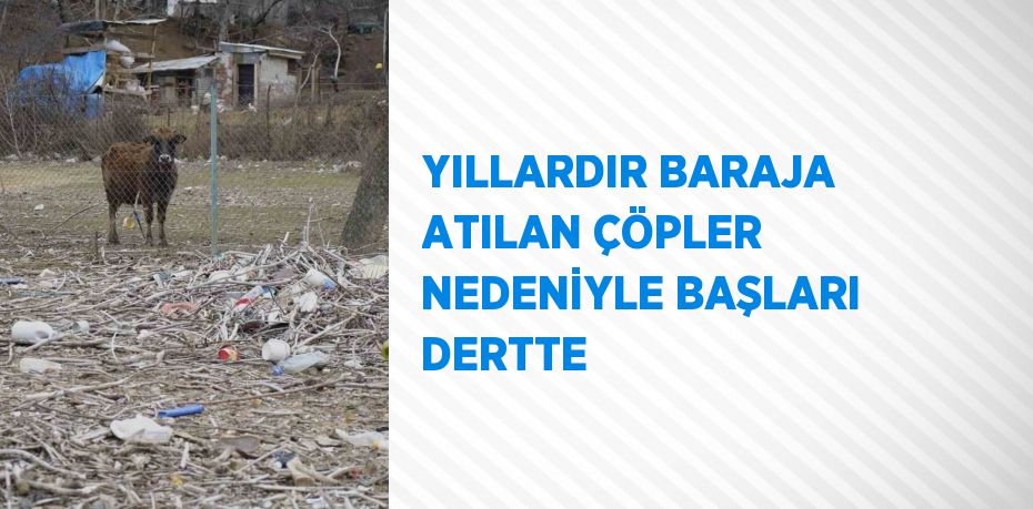 YILLARDIR BARAJA ATILAN ÇÖPLER NEDENİYLE BAŞLARI DERTTE