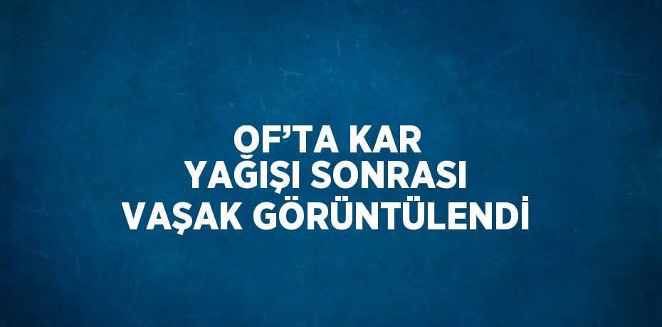 OF’TA KAR YAĞIŞI SONRASI VAŞAK GÖRÜNTÜLENDİ