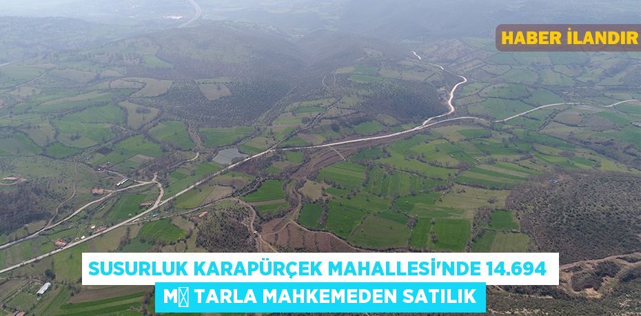 Susurluk Karapürçek Mahallesi'nde 14.694 m² tarla mahkemeden satılık