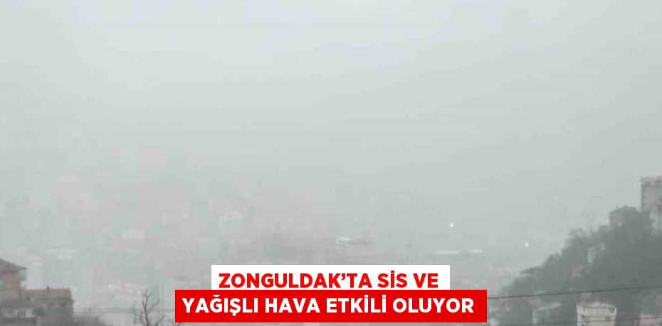 ZONGULDAK’TA SİS VE YAĞIŞLI HAVA ETKİLİ OLUYOR