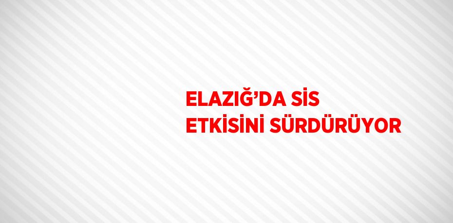 ELAZIĞ’DA SİS ETKİSİNİ SÜRDÜRÜYOR