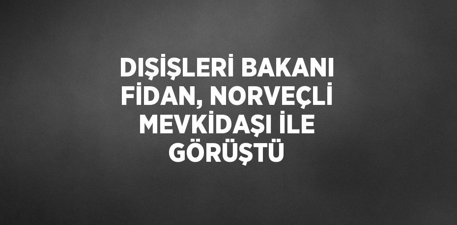 DIŞİŞLERİ BAKANI FİDAN, NORVEÇLİ MEVKİDAŞI İLE GÖRÜŞTÜ