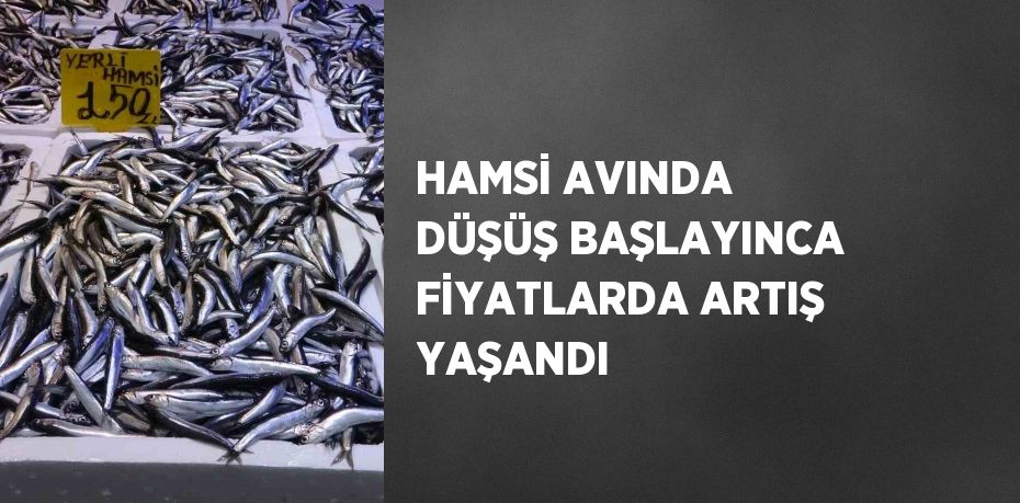 HAMSİ AVINDA DÜŞÜŞ BAŞLAYINCA FİYATLARDA ARTIŞ YAŞANDI