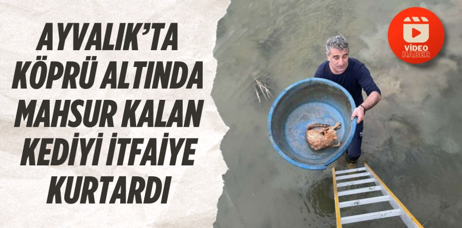 AYVALIK’TA KÖPRÜ ALTINDA MAHSUR KALAN KEDİYİ İTFAİYE KURTARDI