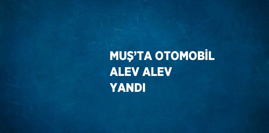 MUŞ’TA OTOMOBİL ALEV ALEV YANDI