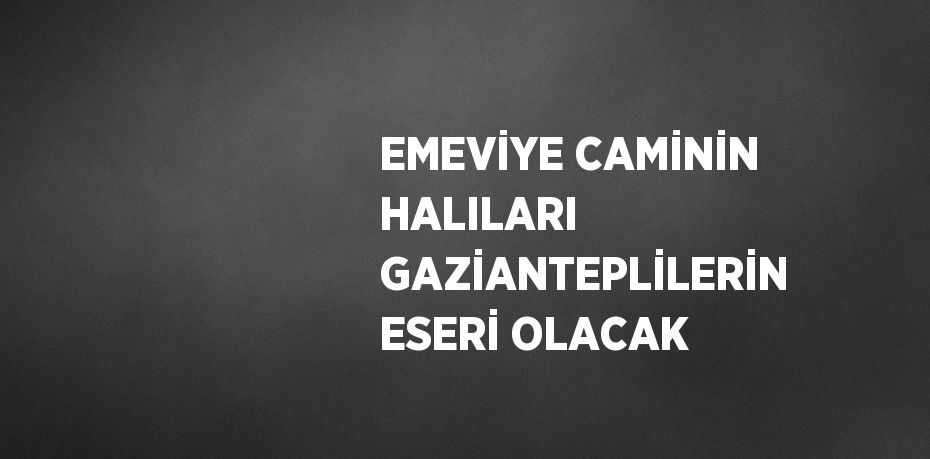 EMEVİYE CAMİNİN HALILARI GAZİANTEPLİLERİN ESERİ OLACAK