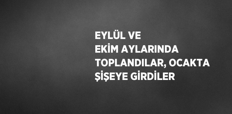 EYLÜL VE EKİM AYLARINDA TOPLANDILAR, OCAKTA ŞİŞEYE GİRDİLER