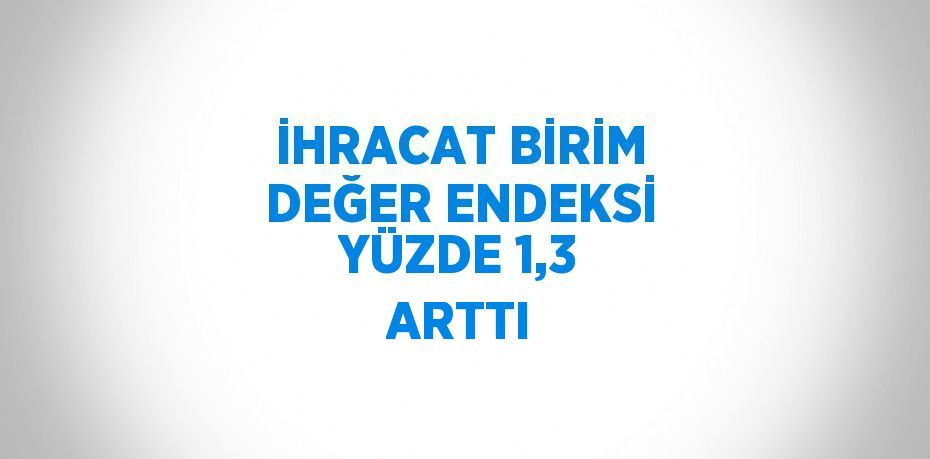 İHRACAT BİRİM DEĞER ENDEKSİ YÜZDE 1,3 ARTTI