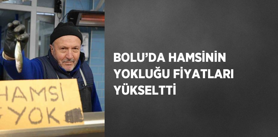 BOLU’DA HAMSİNİN YOKLUĞU FİYATLARI YÜKSELTTİ