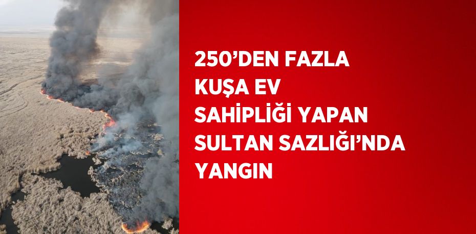 250’DEN FAZLA KUŞA EV SAHİPLİĞİ YAPAN SULTAN SAZLIĞI’NDA YANGIN