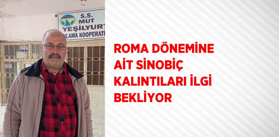 ROMA DÖNEMİNE AİT SİNOBİÇ KALINTILARI İLGİ BEKLİYOR