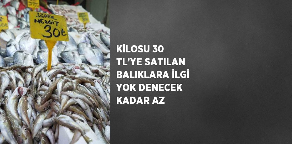 KİLOSU 30 TL’YE SATILAN BALIKLARA İLGİ YOK DENECEK KADAR AZ