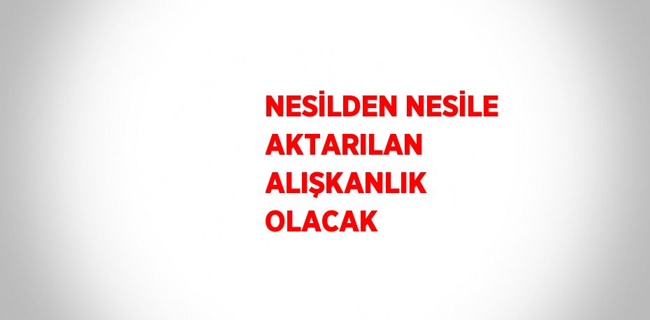 NESİLDEN NESİLE AKTARILAN ALIŞKANLIK OLACAK