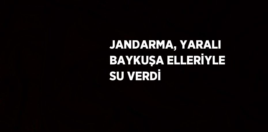 JANDARMA, YARALI BAYKUŞA ELLERİYLE SU VERDİ