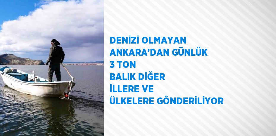 DENİZİ OLMAYAN ANKARA’DAN GÜNLÜK 3 TON BALIK DİĞER İLLERE VE ÜLKELERE GÖNDERİLİYOR