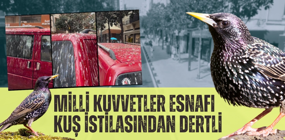 MİLLİ KUVVETLER ESNAFI  KUŞ İSTİLASINDAN DERTLİ