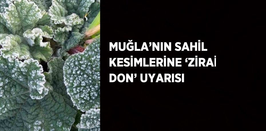 MUĞLA’NIN SAHİL KESİMLERİNE ‘ZİRAİ DON’ UYARISI