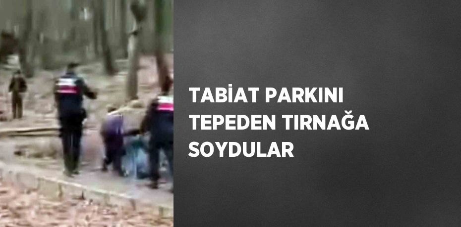 TABİAT PARKINI TEPEDEN TIRNAĞA SOYDULAR