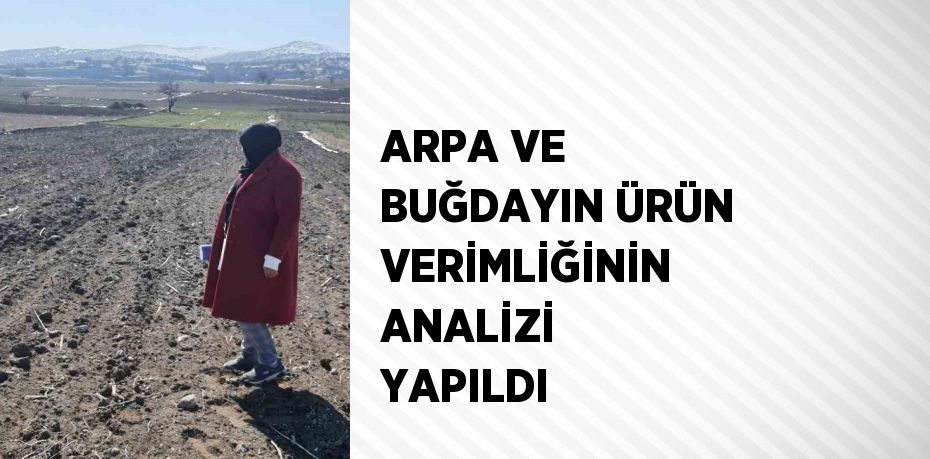 ARPA VE BUĞDAYIN ÜRÜN VERİMLİĞİNİN ANALİZİ YAPILDI