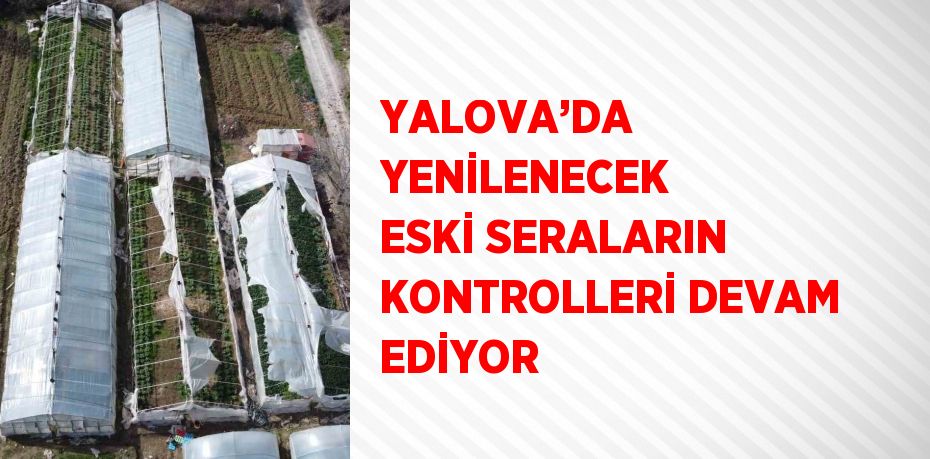 YALOVA’DA YENİLENECEK ESKİ SERALARIN KONTROLLERİ DEVAM EDİYOR