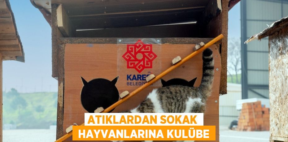 ATIKLARDAN SOKAK  HAYVANLARINA KULÜBE