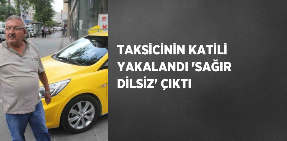 TAKSİCİNİN KATİLİ YAKALANDI 'SAĞIR DİLSİZ' ÇIKTI