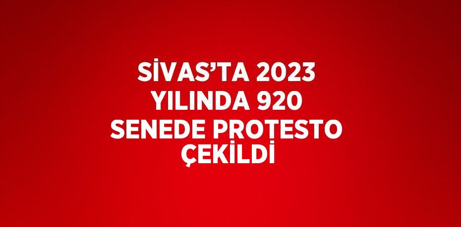SİVAS’TA 2023 YILINDA 920 SENEDE PROTESTO ÇEKİLDİ