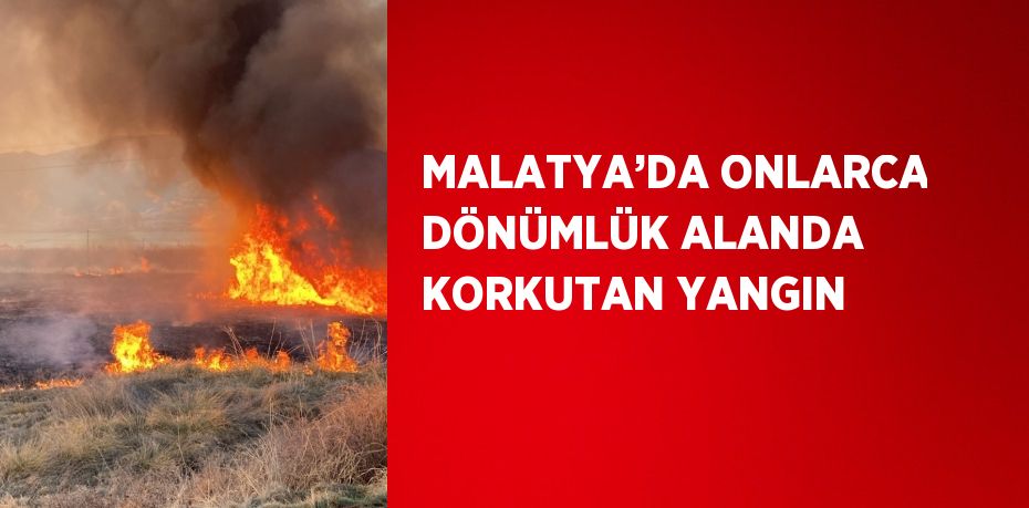MALATYA’DA ONLARCA DÖNÜMLÜK ALANDA KORKUTAN YANGIN