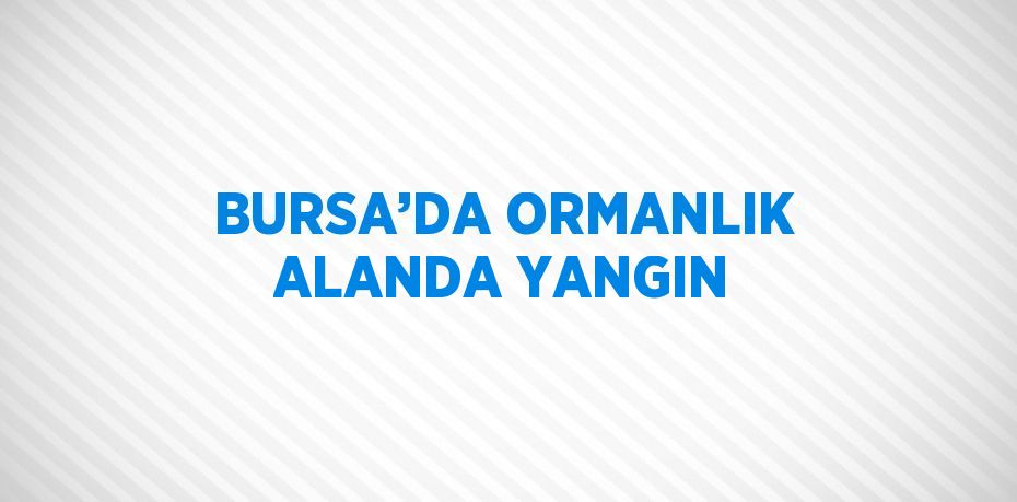 BURSA’DA ORMANLIK ALANDA YANGIN