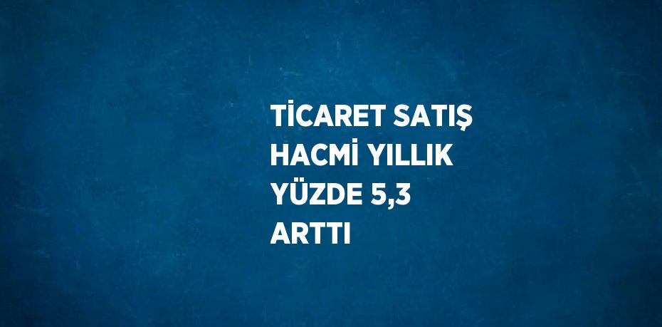 TİCARET SATIŞ HACMİ YILLIK YÜZDE 5,3 ARTTI