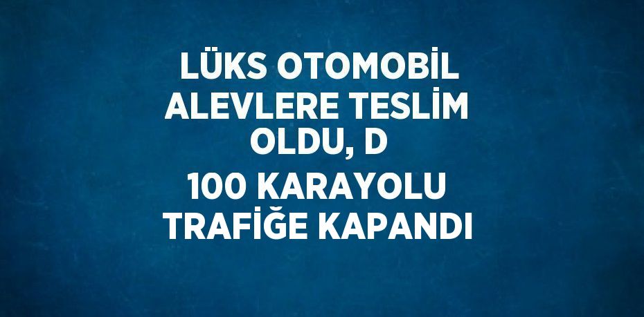 LÜKS OTOMOBİL ALEVLERE TESLİM OLDU, D 100 KARAYOLU TRAFİĞE KAPANDI