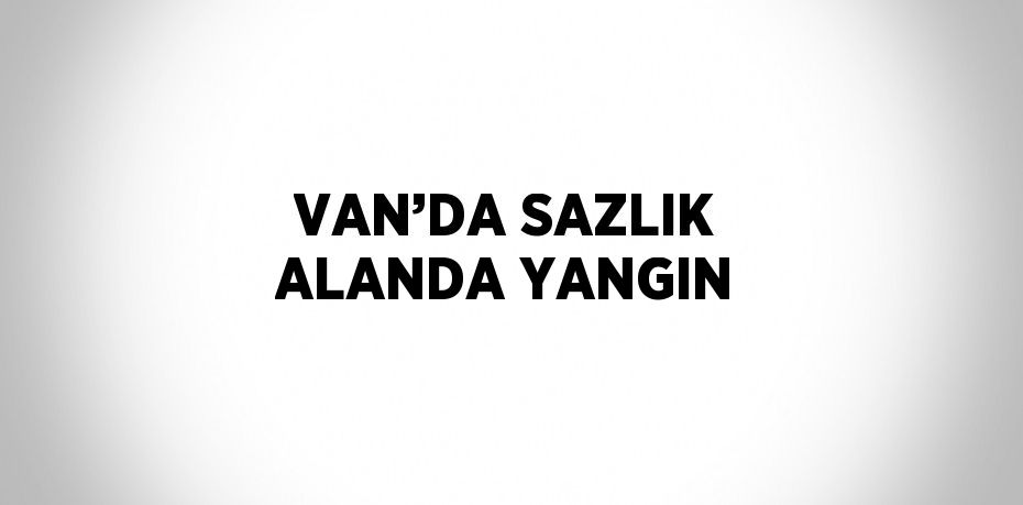 VAN’DA SAZLIK ALANDA YANGIN