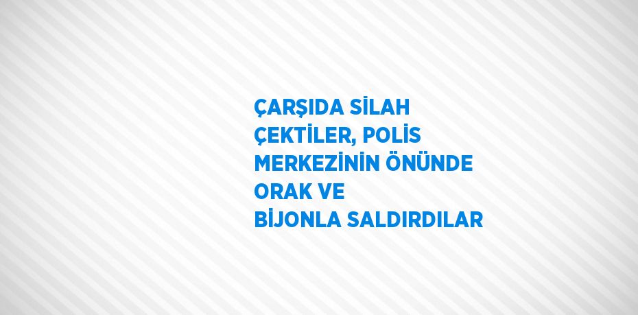 ÇARŞIDA SİLAH ÇEKTİLER, POLİS MERKEZİNİN ÖNÜNDE ORAK VE BİJONLA SALDIRDILAR