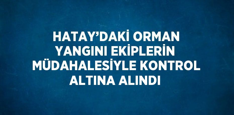 HATAY’DAKİ ORMAN YANGINI EKİPLERİN MÜDAHALESİYLE KONTROL ALTINA ALINDI