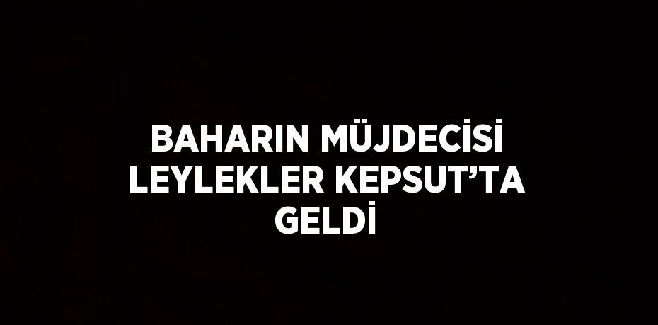 BAHARIN MÜJDECİSİ LEYLEKLER KEPSUT’TA GELDİ