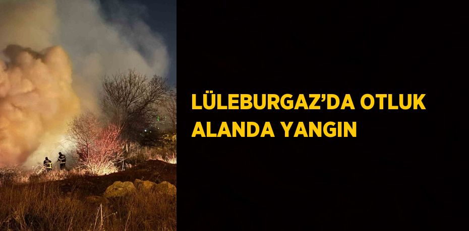 LÜLEBURGAZ’DA OTLUK ALANDA YANGIN