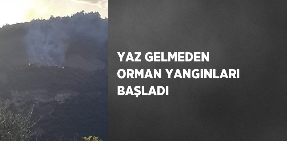 YAZ GELMEDEN ORMAN YANGINLARI BAŞLADI