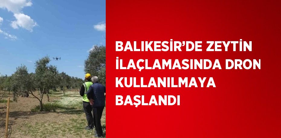 BALIKESİR’DE ZEYTİN İLAÇLAMASINDA DRON KULLANILMAYA BAŞLANDI