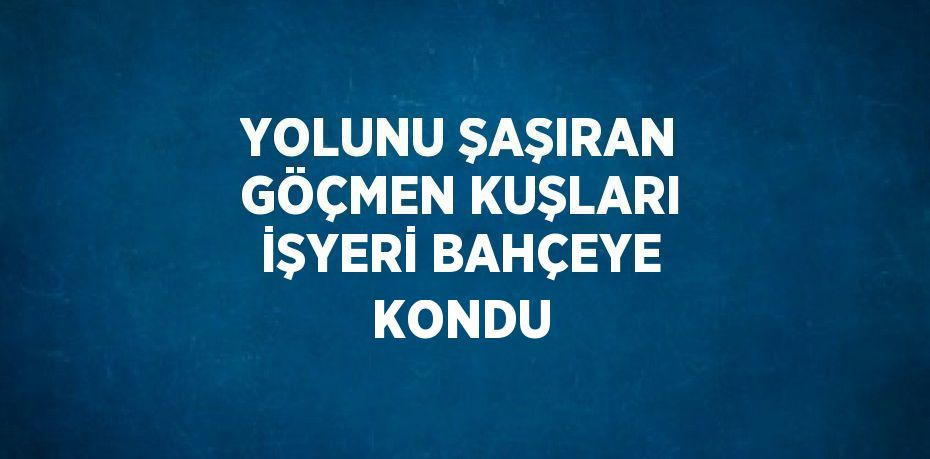 YOLUNU ŞAŞIRAN GÖÇMEN KUŞLARI İŞYERİ BAHÇEYE KONDU