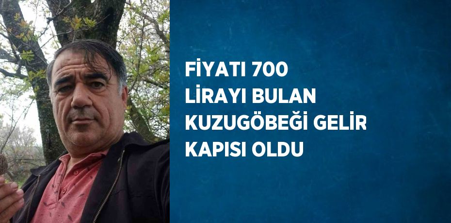 FİYATI 700 LİRAYI BULAN KUZUGÖBEĞİ GELİR KAPISI OLDU