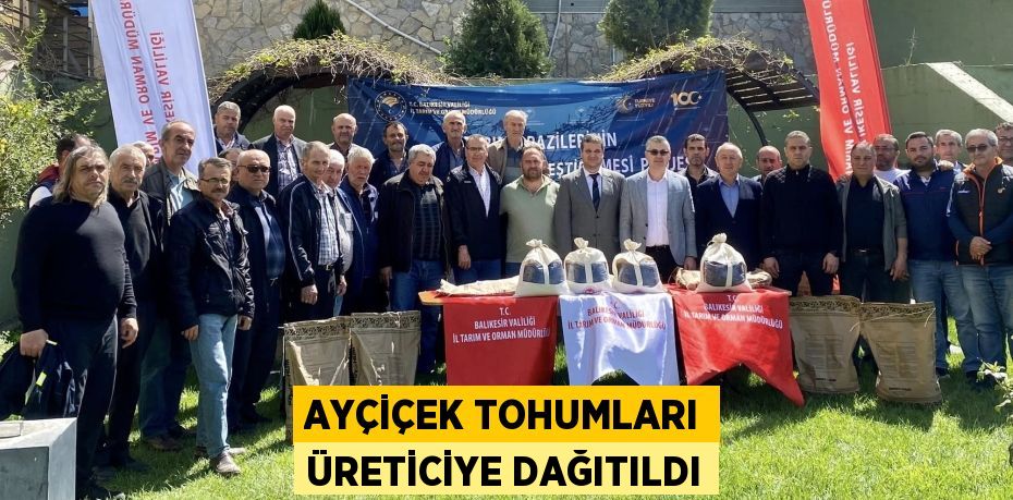 AYÇİÇEK TOHUMLARI ÜRETİCİYE DAĞITILDI