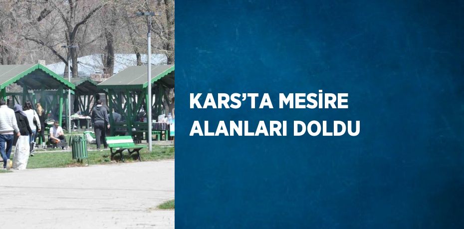 KARS’TA MESİRE ALANLARI DOLDU