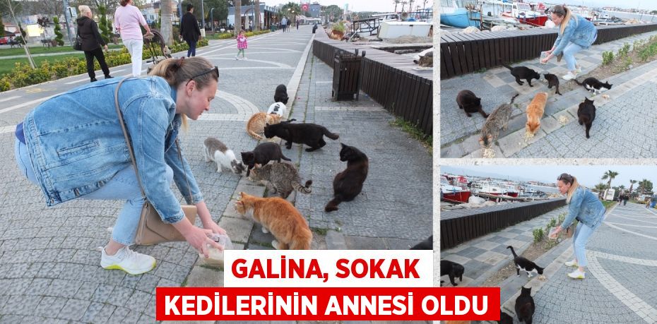 GALİNA, SOKAK KEDİLERİNİN ANNESİ OLDU