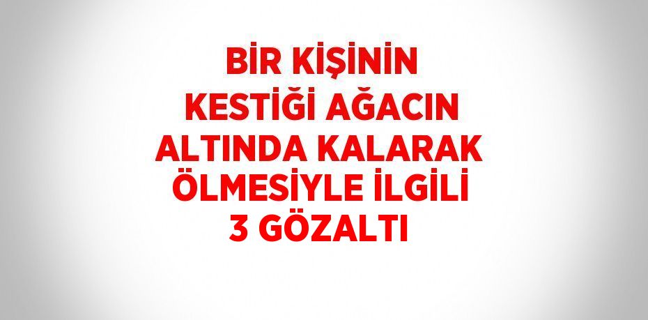 BİR KİŞİNİN KESTİĞİ AĞACIN ALTINDA KALARAK ÖLMESİYLE İLGİLİ 3 GÖZALTI